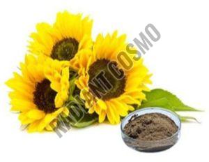 Sunflower Extract