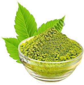 Tulsi Extract