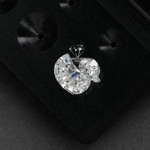 Duck Shapes Fancy Diamond