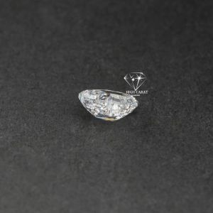 Duck Shapes Fancy Diamond