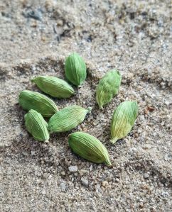 Green Cardamom