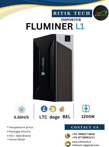 fluminer l1 antminer