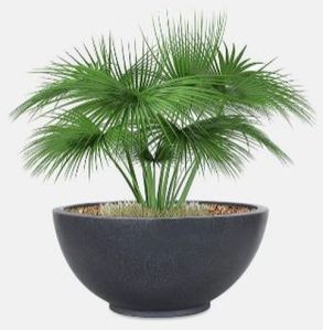Roto Mould Lotus Bowl 18 Inch