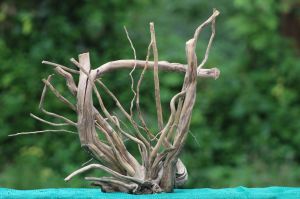 18x18-inch natural spider wood branch sculpture