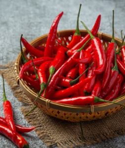 Fresh Red Chilli