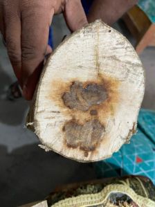 Agarwood Chips Zura
