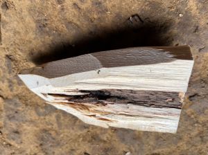 Agarwood Chips Zura