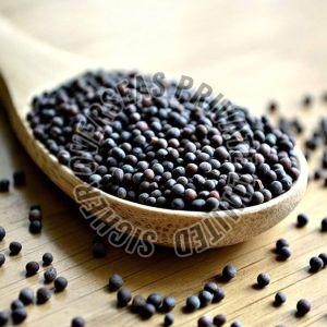 Black Mustard Seeds