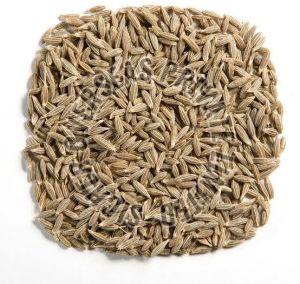 Cumin Seeds