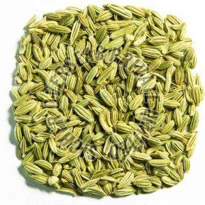 Fennel Seeds