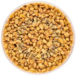 Fenugreek Seeds