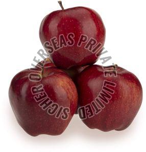 Fresh Apple