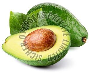 Fresh Avocado