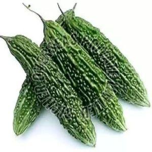 Fresh Bitter Gourd