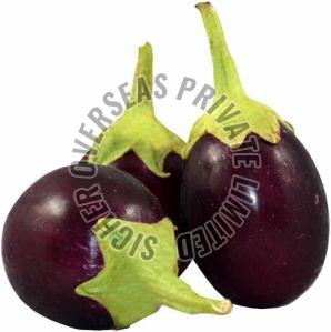 Fresh Brinjal