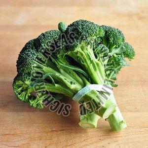 Fresh Broccoli