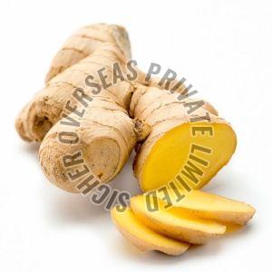 Fresh Ginger