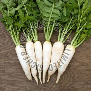 Fresh Radish