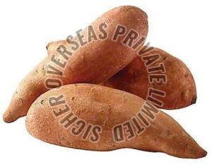 Fresh Sweet Potato