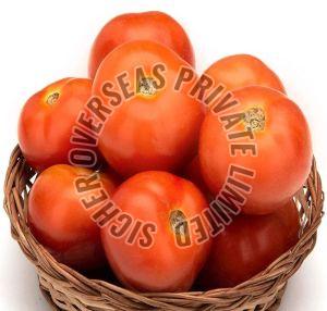Fresh Tomato