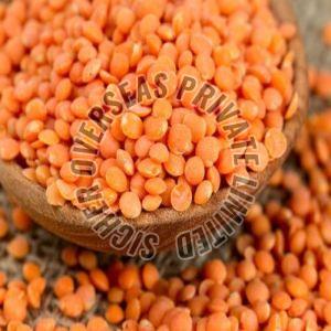 Red Lentils