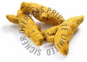 Turmeric Finger