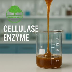 Acid Cellulase Enzyme