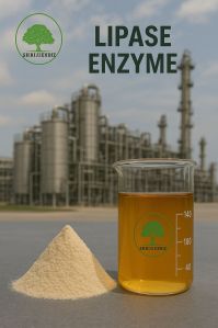Lipase Enzyme