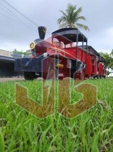 Electric Trackless Train