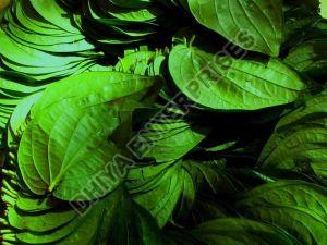 betel leaves