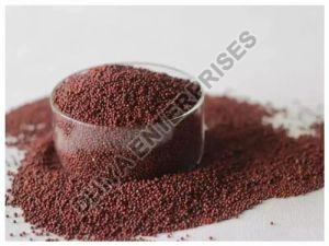 Finger Millet Seeds