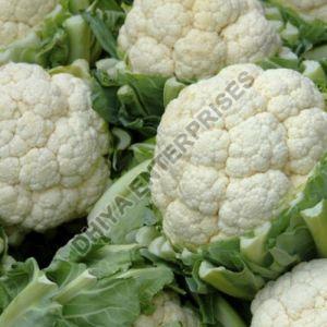 Fresh Cauliflower