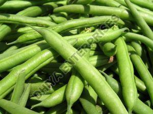 Fresh Green Beans