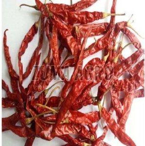 273 Dry Red Chilli