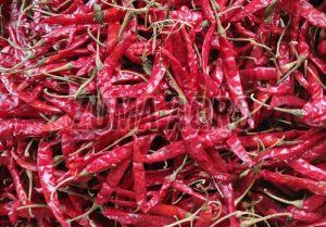 Armor Dry Red Chilli