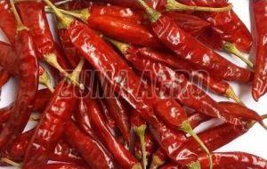 Indam 5 Dry Red Chilli