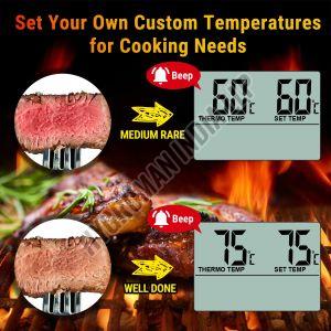 Digital Wired Probe Food Oven Thermometer