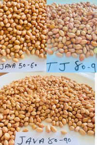 Whole Groundnut Peanut