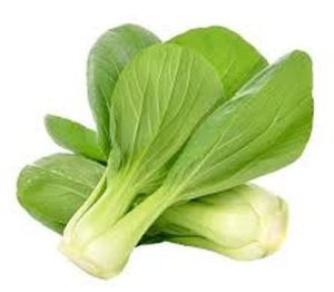 Fresh Pak Choi