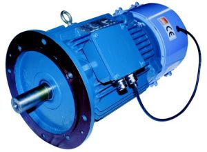 Electromagnetic Brake Motor