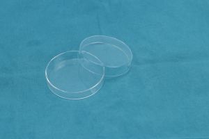 Petri Dishes