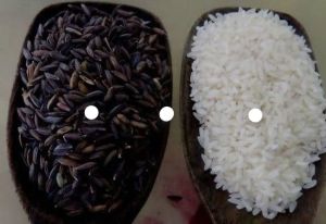 Kala Namak Rice