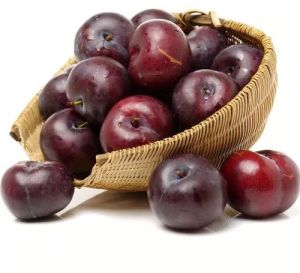 Fresh Plum