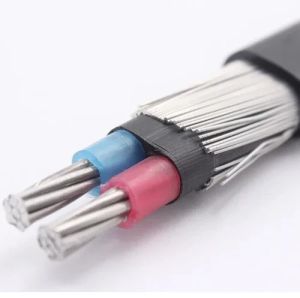 6 Sq.mm 2 Core Aluminium Armoured LT XLPE Cable