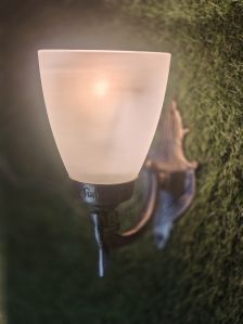 Frosted Wall Sconce