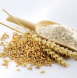 Wheat Flour