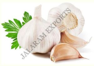 Fresh Garlic