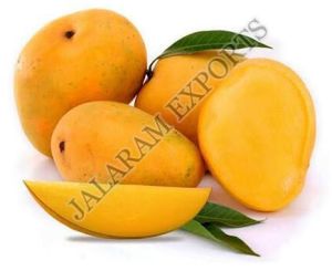 Fresh Mango