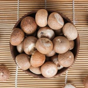 Dried Areca Nuts