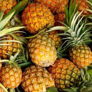 fresh sweet pineapple